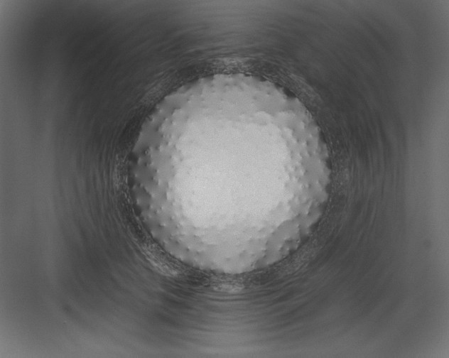 X0000082140658200702092126