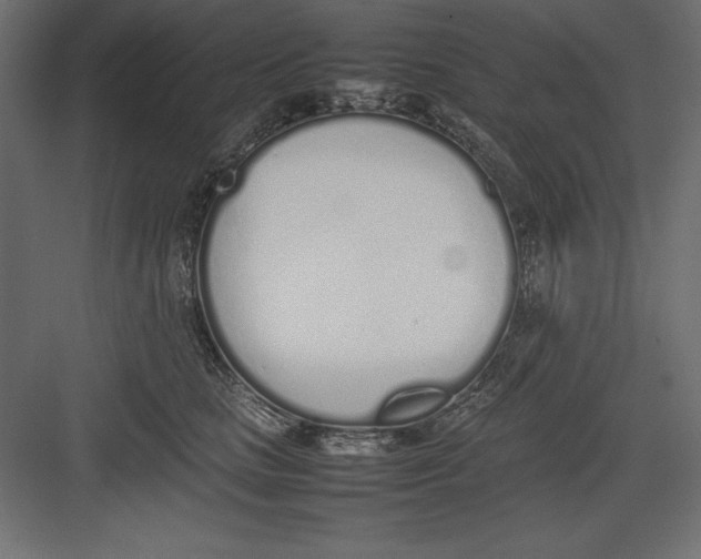 X0000082140661200702092126