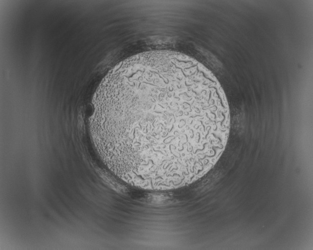 X0000082140662200702092126