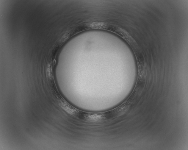 X0000082140669200702092127