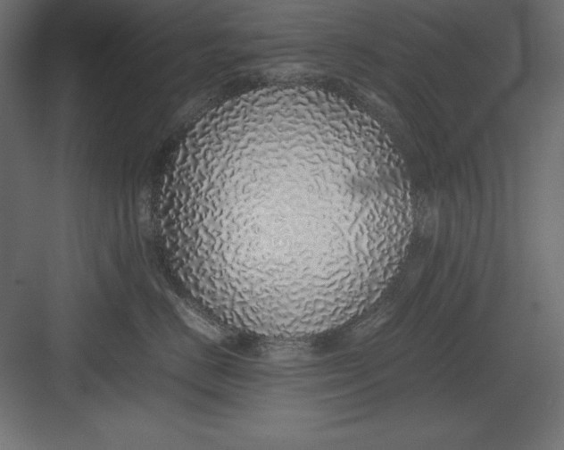 X0000082140670200702092127