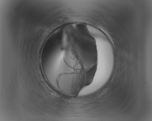 X0000082140673200702092126