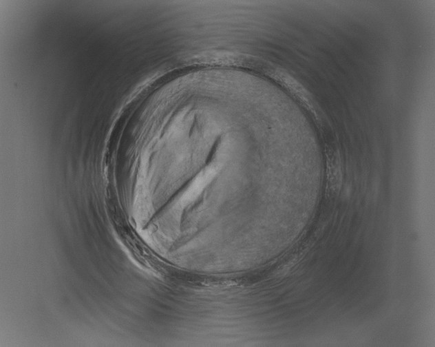 X0000082140674200702092126