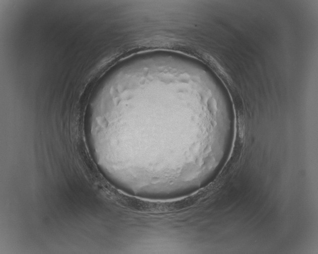 X0000082140675200702092126