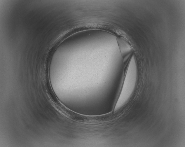 X0000082140677200702092126