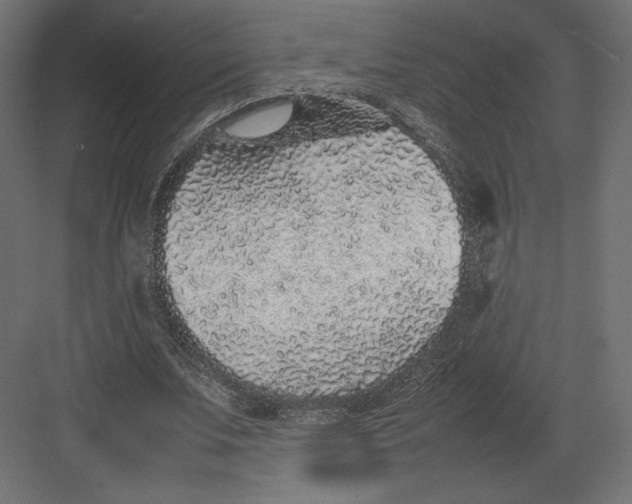 X0000082140679200702092126