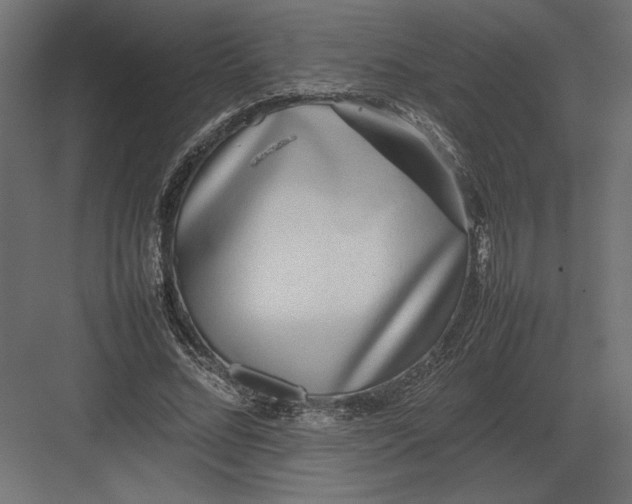 X0000082140684200702092126