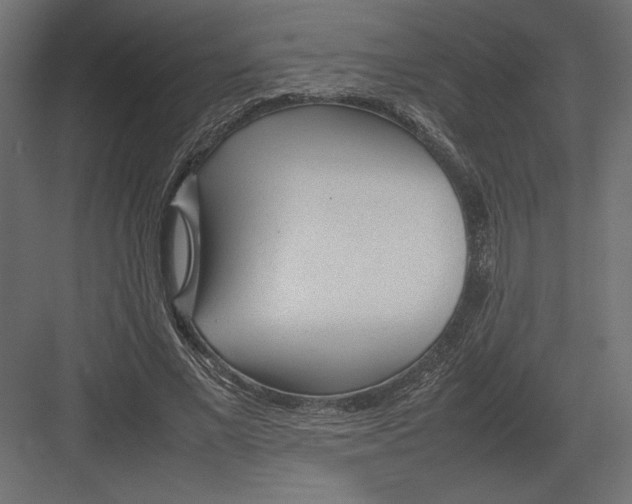 X0000082140685200702092126