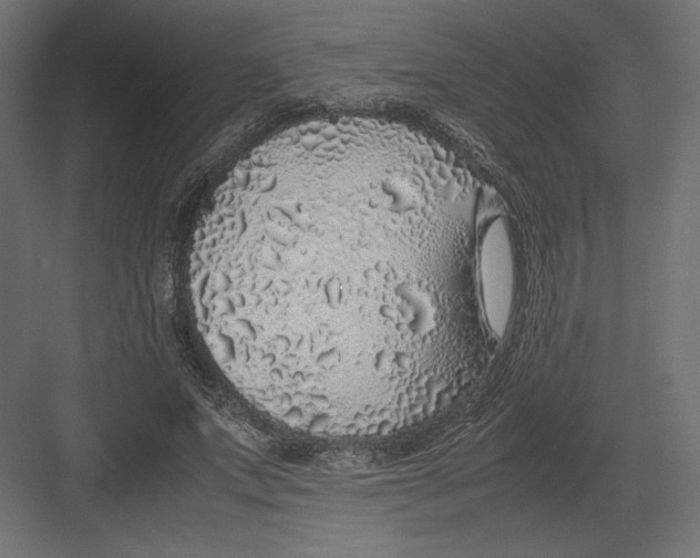 X0000082140687200702092126