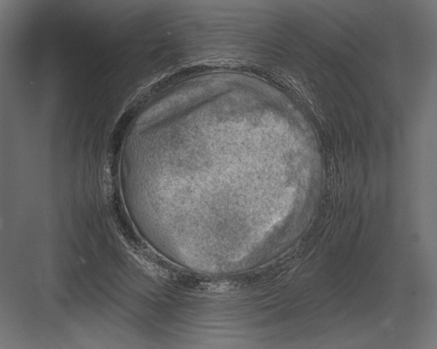 X0000082140688200702092126