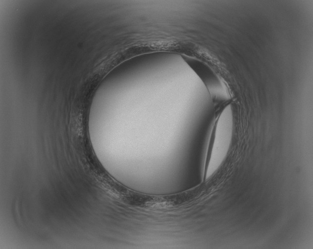 X0000082140689200702092126