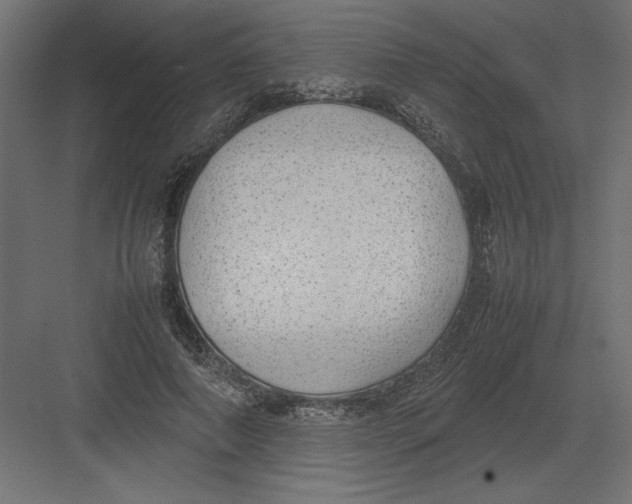 X0000082140690200702092126