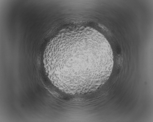 X0000082140691200702092126