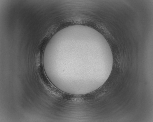 X0000082140694200702092125