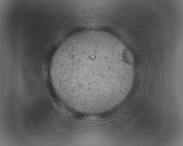 X0000082140695200702092125