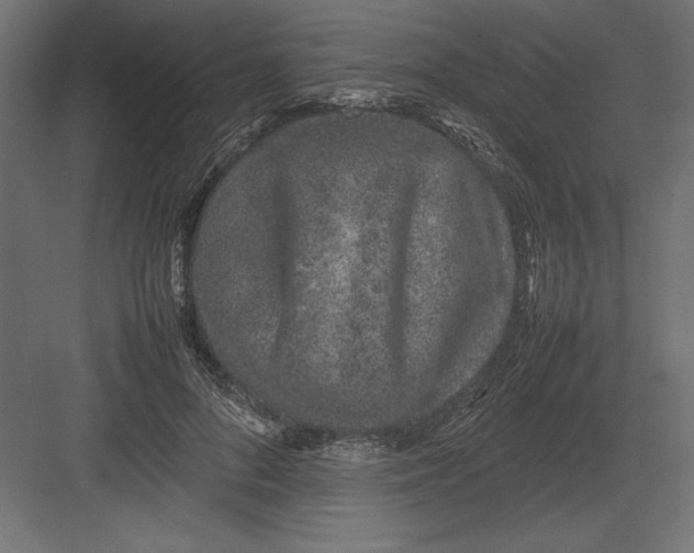 X0000082140696200702092125