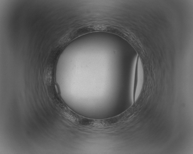 X0000082140697200702092125