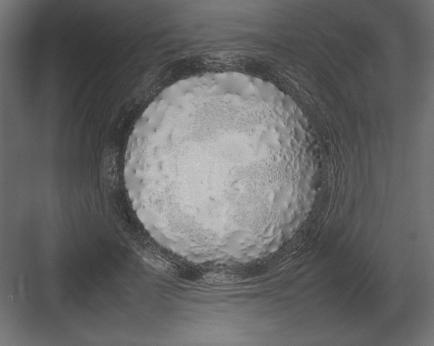 X0000082140699200702092125