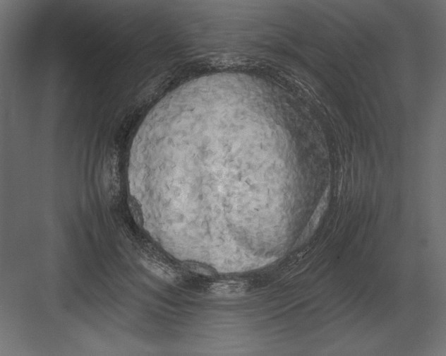 X0000082140700200702092125