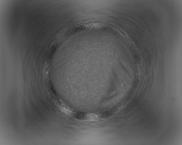 X0000082140701200702092125