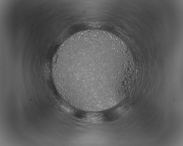 X0000082140707200702092125