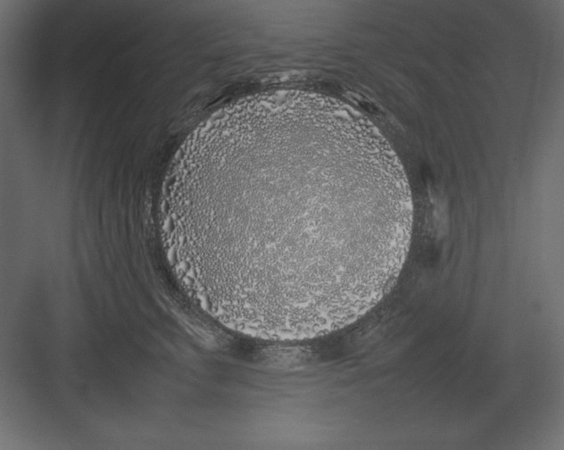 X0000082140711200702092125