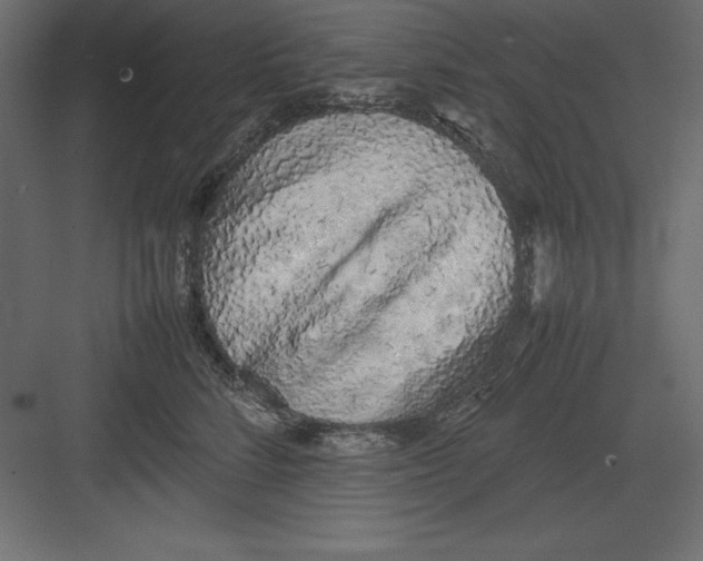 X0000082140712200702092125