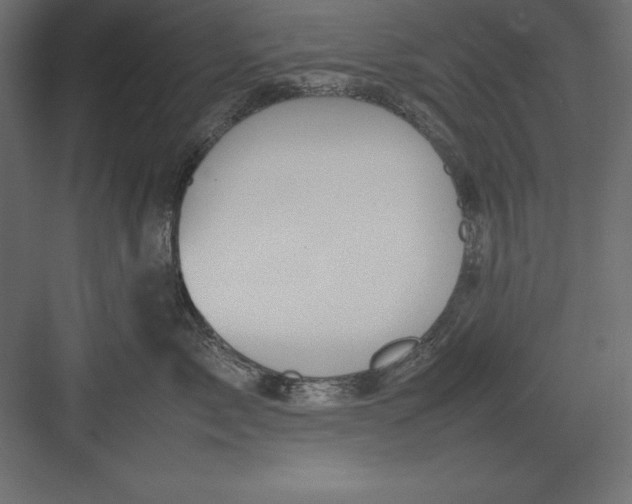 X0000082140717200702092125