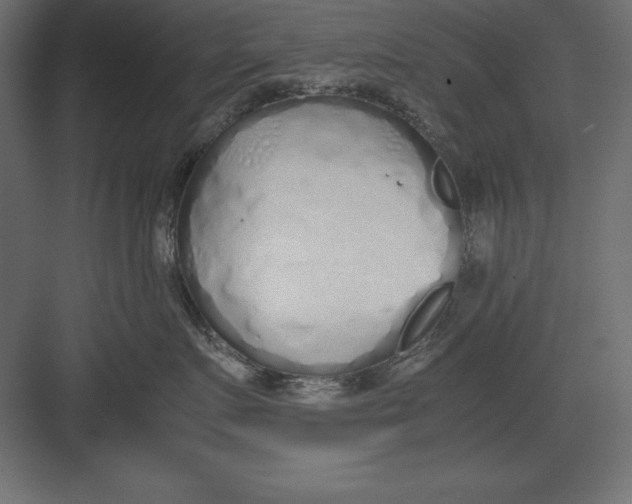 X0000082140719200702092125