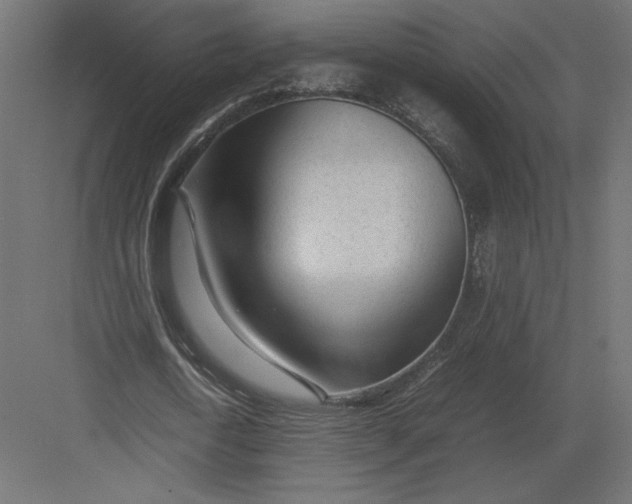 X0000082140722200702092124