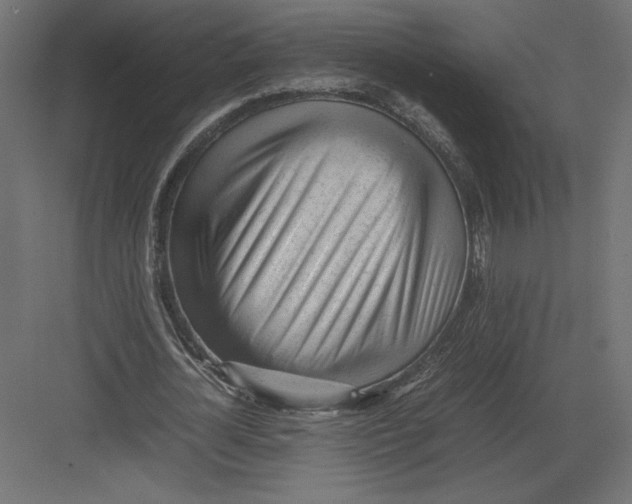 X0000082140724200702092124