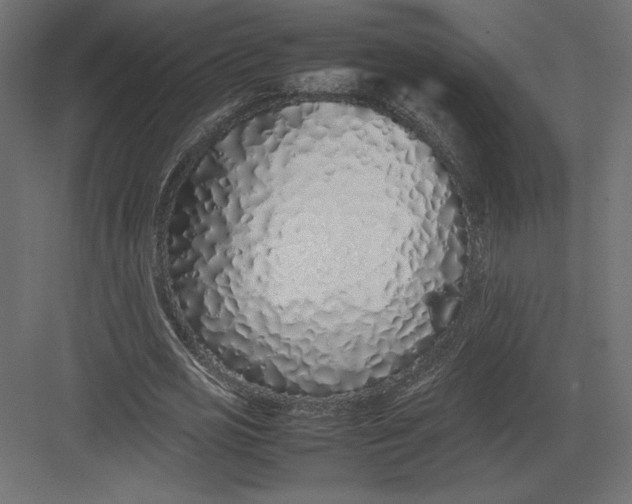 X0000082140725200702092124