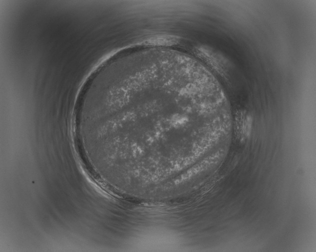 X0000082140726200702092124