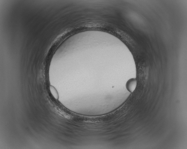 X0000082140727200702092124