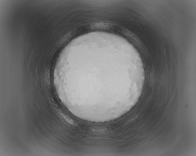 X0000082140729200702092124