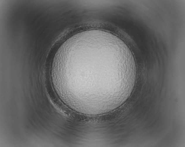 X0000082140730200702092124