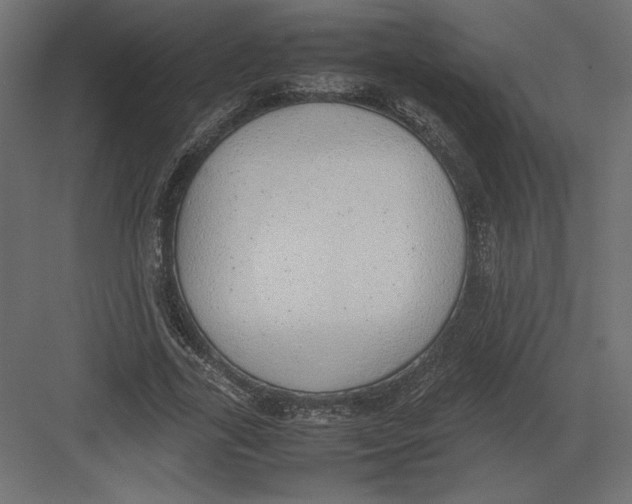 X0000082140731200702092124