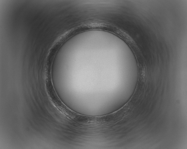 X0000082140732200702092124