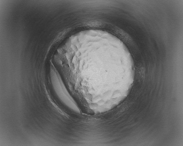 X0000082140734200702092124