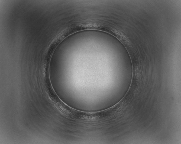 X0000082140735200702092124