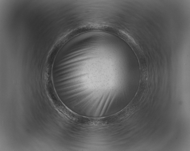 X0000082140736200702092124