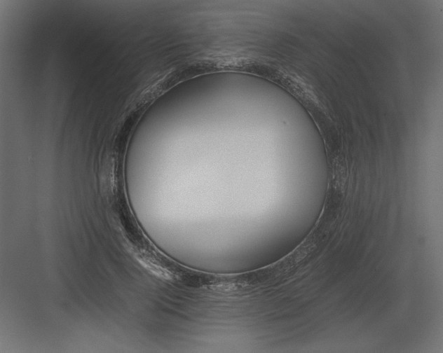 X0000082140740200702092125