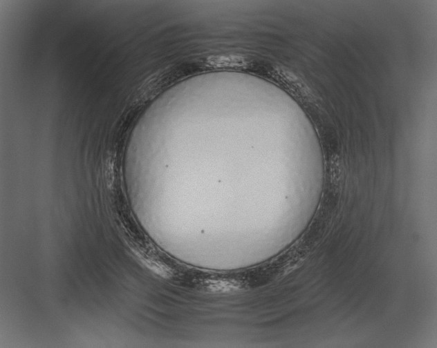 X0000082140741200702092125