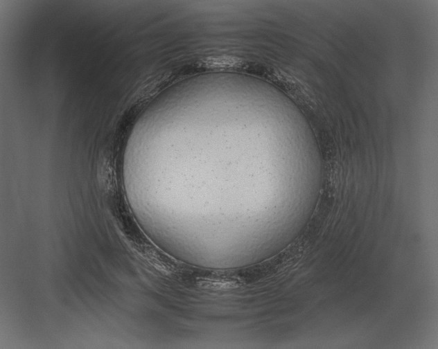 X0000082140743200702092125