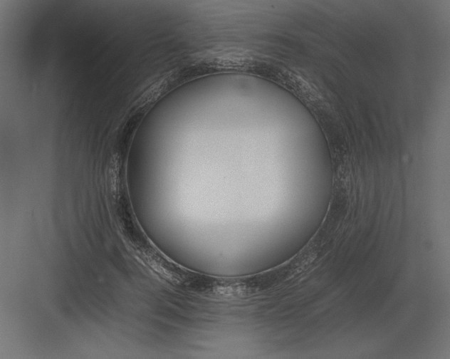 X0000082140744200702092125