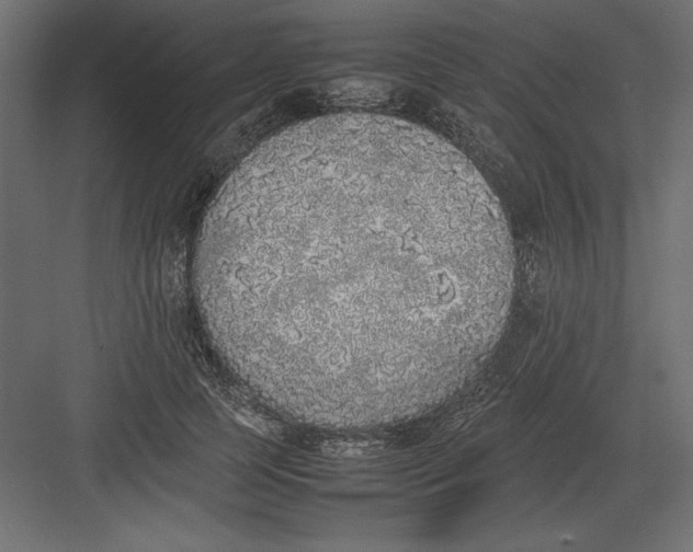 X0000082140745200702092125