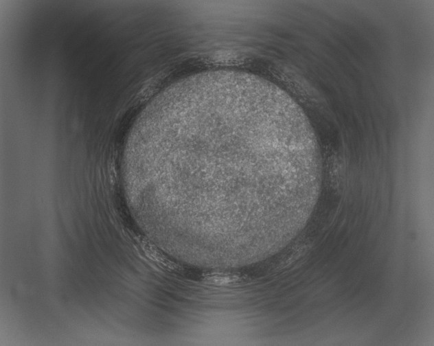 X0000082140746200702092125