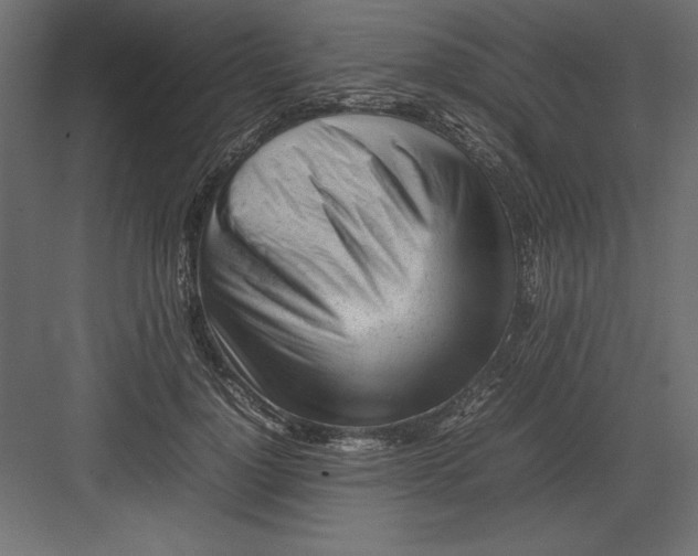 X0000082140748200702092125