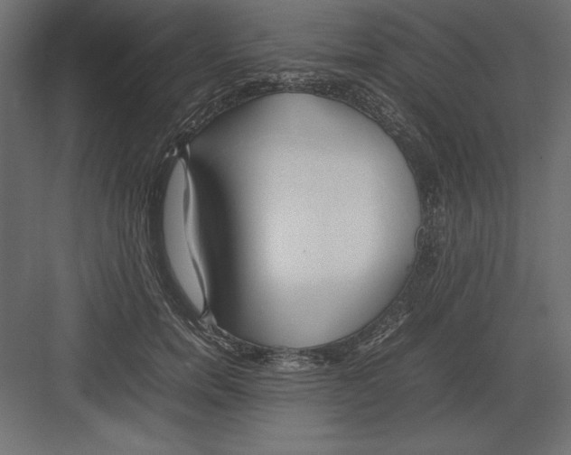 X0000082140750200702092125