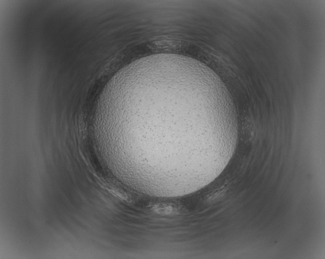 X0000082140751200702092125